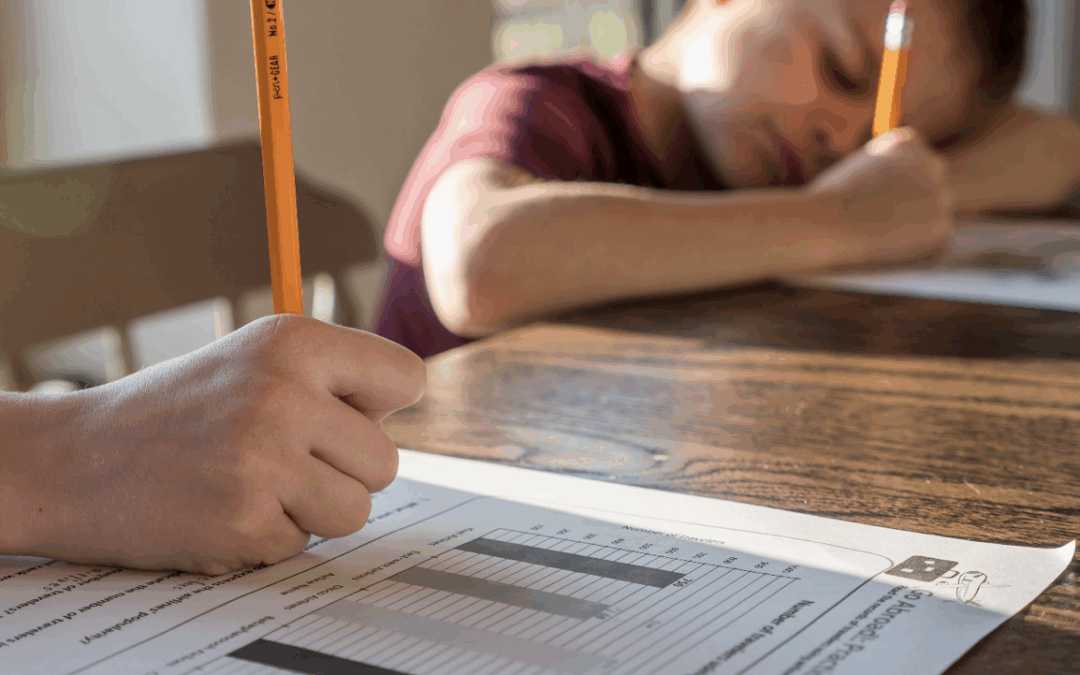  Custody Battles and Back to School